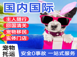 泰州空运代理国际宠物托运 【国